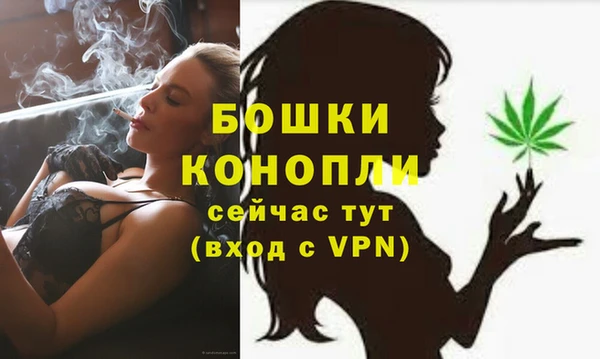 мяу мяу мука Новодвинск