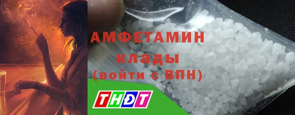 индика Богородицк