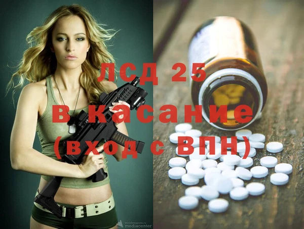 шишки Новокубанск