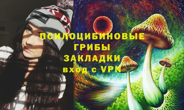 прущие крисы Вязьма