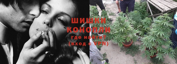 spice Няндома