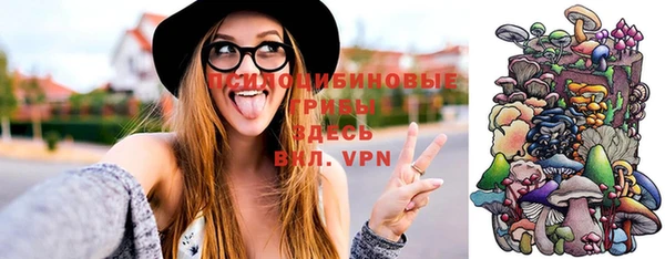 мяу мяу мука Новодвинск