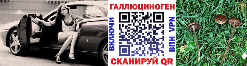 MEGA зеркало  Лениногорск  Галлюциногенные грибы прущие грибы  цены  