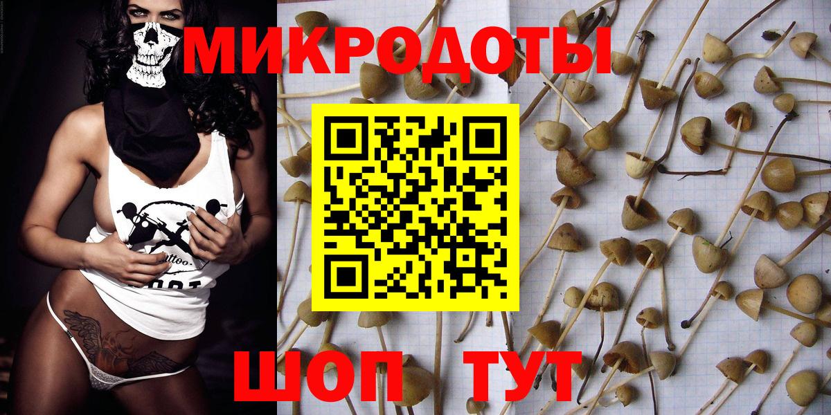 Лениногорск  Галлюциногенные грибы мицелий  Вход с VPN  магазин    Псилоцибиновые грибы Cubensis 